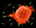 Ученые успешно испытали вирус оспы для лечения рака