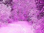 Розовый снег в Стокгольме